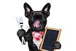 hungry french bulldog dog  ready to eat dinner or lunch , holding a blank blackboard or placard, tongue sticking out , isolated on white background