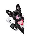 hungry french bulldog dog with tableware or utensils ready to eat dinner or lunch , behind white blank banner or placard, tongue sticking out , isolated on white background