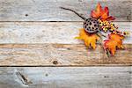 grunge barn wood  background with colorful fall decoration