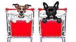 couple of two  dogs together  inside a shopping cart trolley , behind  a blank  empty banner or placard, with a bone in mouth , isolated on white background