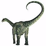 Antarctosaurus was a sauropod herbivore dinosaur that lived during the Cretaceous Period in South America.