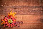 grunge red barn wood background with colorful fall decoration