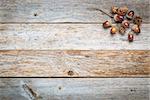 weathered barn wood background with acorns and cones fall decoration