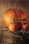 Rustic autumn still life with pumpkins on barrel