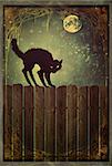 Black cat on old wood fence at  night with vintage look