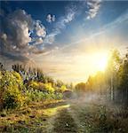 Fog in autumn wood at the sunrise