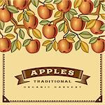 Retro apple harvest card in woodcut style. Editable vector illustration with clipping mask.