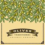 Retro olive harvest card in woodcut style.  Editable vector illustration with clipping mask.