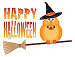 Halloween Owl with Witches Hat Sitting on Broomstick with Happy Halloween text Isolated on White Background Illustration