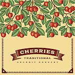 Retro cherry harvest card in woodcut style. Editable vector illustration with clipping mask.