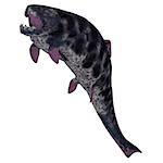 Dunkleosteus is a Devonian prehistoric fish that lived in the seas of North America, Poland, Belgium and Morocco.