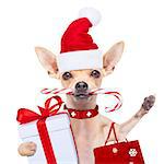 chihuahua santa claus shopping bag  dog  ready for christmas sale  , isolated on white background