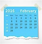 Calendar february 2016 colorful torn paper. Vector illustration