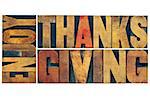 Enjoy  Thanksgiving  - greeting card or banner - isolated text in vintage letterpress wood type blocks