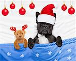 french bulldog santa claus dog sleeping off christmas holidays with teddy bear