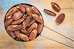 metal measuring scoop of roasted pili nuts against wood background