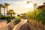 Way to beach of the red sea at sunset