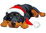 Illustration of beautiful Christmas Rottweiler