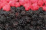 heap of ripe berries of blackberry and raspberry