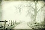 nostalgic autumn scene, foggy park trail - landscape with a grunge texture effect