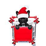 santa claus dog in a shopping cart at christmas holidays, behind placard or banner , isolated on white background