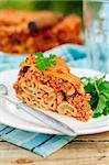 A Piece of Bolognese Pasta Bake, Macaroni Cheese, Minced Meat and Pasta Pie, copy space for your text