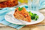 A Piece of Bolognese Pasta Bake, Macaroni Cheese, Minced Meat and Pasta Pie, copy space for your text