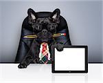 office businessman french bulldog dog with pen or pencil in mouth  , behind laptop pc tablet screen ,  sitting on a leather chair