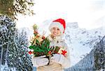 Christmas time spent outdoors among snowy peaks can turn the holidays into a fascinating journey. Portrait of smiling young woman holding Christmas tree and gift box in the front of mountains