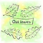 Set of Plant Pictograms, Oak Leaves. Nature Green and Yellow Summer Background. Eps10, Contains Transparencies. Vector