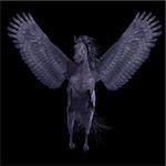 Pegasus is a divine mythical creature that has the form of a winged stallion horse.