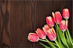 Colorful tulips over wooden table. Top view with copy space
