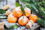 Fresh tangerines with leaves on a snow-covered table with a branch of spruce