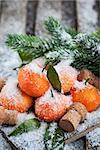 Fresh tangerines with leaves on a snow-covered table with a branch of spruce