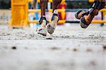 Detailed view of horse hooves at jumping competition training