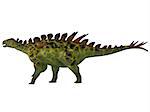 Huayangosaurus was an armored herbivorous dinosaur that lived in the Jurassic Period of China.