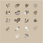 Spices Set, Vector Illustration Collection pastel shades of beige