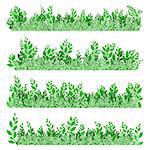 Green leaves border isolated on white background. EPS 10 vector file included