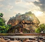 Bird over mountain of Sigiriya in Sri Lanka