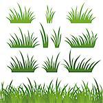 Line seamless and set of fresh green grass, element for design, isolated on white background. Vector