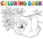 Coloring book sloth on branch - eps10 vector illustration.