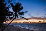 Beach outside Rumours Luxury Villas 6 and 7, Muri, Rarotonga, Cook Islands, South Pacific, Pacific