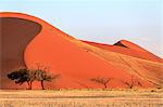 Dune 45 the star dune composed of 5 million year old sand, Sossusvlei, Namib Desert, Namib Naukluft National Park, Namibia, Africa