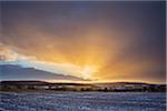 Field Landscape at Sunrise in the Winter, Dietersdorf, Coburg, Bavaria, Germany