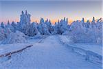 Snow Covered Winter Landscape with Path at Dawn, Grosser Feldberg, Frankfurt, Taunus, Hesse, Germany