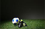 Soccer equipment on grass