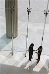 Two colleagues in glass lobby in discussion