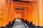 Fushimi Inari Taisha, Shinto shrine, vermilion torii gates line paths in wooded forest on Mount Inari, Kyoto, Japan, Asia