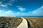 Boardwalk leading towards the horizon and Infinity Beach on Formentera, Balearic Islands, Spain, Mediterranean, Europe