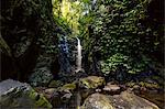 Waterfall at Lamington National Park, Queensland, Australia, Pacific